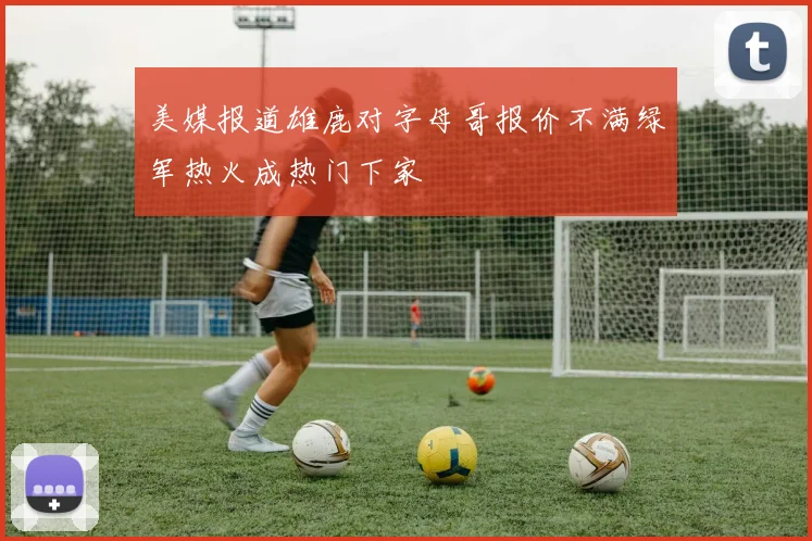 美媒报道雄鹿对字母哥报价不满绿军热火成热门下家