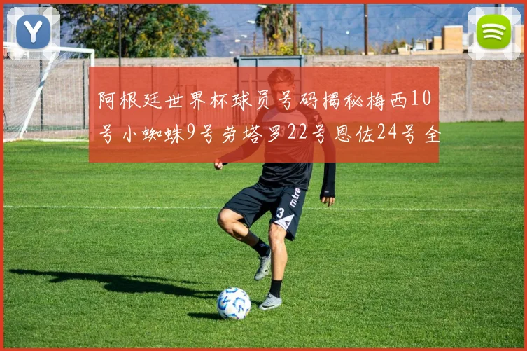 阿根廷世界杯球员号码揭秘梅西10号小蜘蛛9号劳塔罗22号恩佐24号全解析