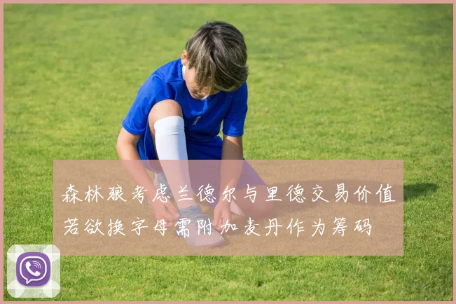 森林狼考虑兰德尔与里德交易价值若欲换字母需附加麦丹作为筹码
